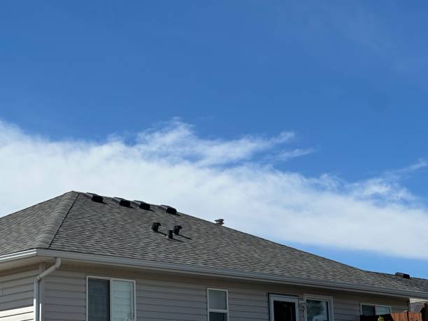 Best Skylight Installation and Repair  in Belmont, CA